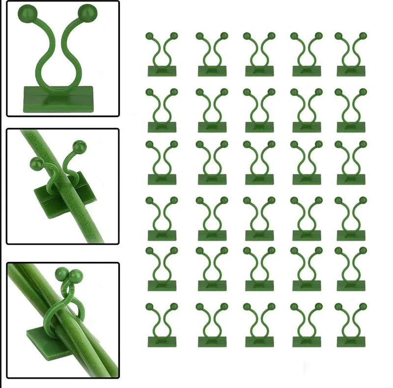 Wall Fixture Clips Plant Climbing Plant Fixer Self